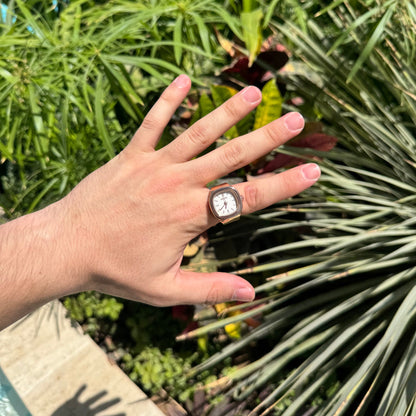 NAUTILUS RING | SILVER BLACK