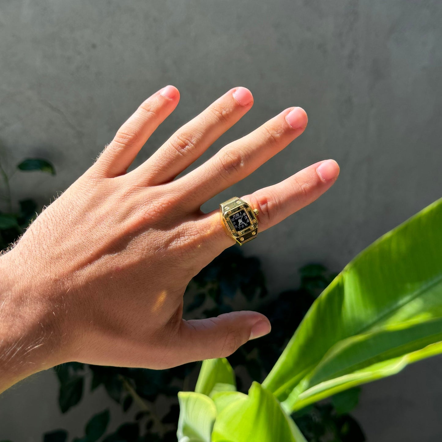 SANTOS RING | SILVER WHITE